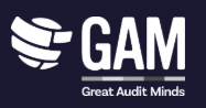 GAM · Great Audit Minds